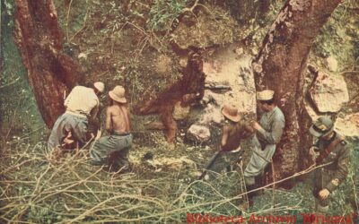 La milizia forestale