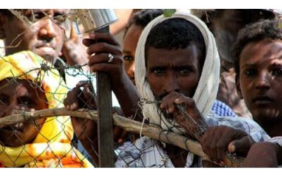 Perchè gli Eritrei scelgono l’Italia