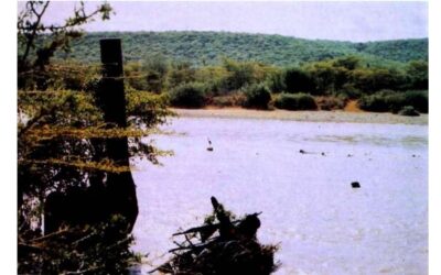 Il relitto misterioso del fiume Giuba