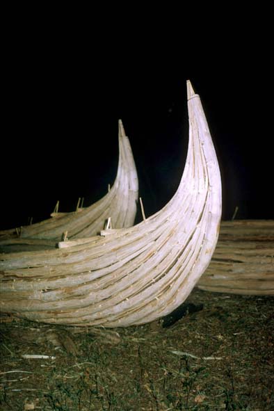 Clupguide:  ETIOPIA, 1996 – ERITREA, 1994 di Andrea Semplici