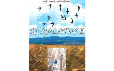 “SPIGOLATURE” di Benito Romagnoli